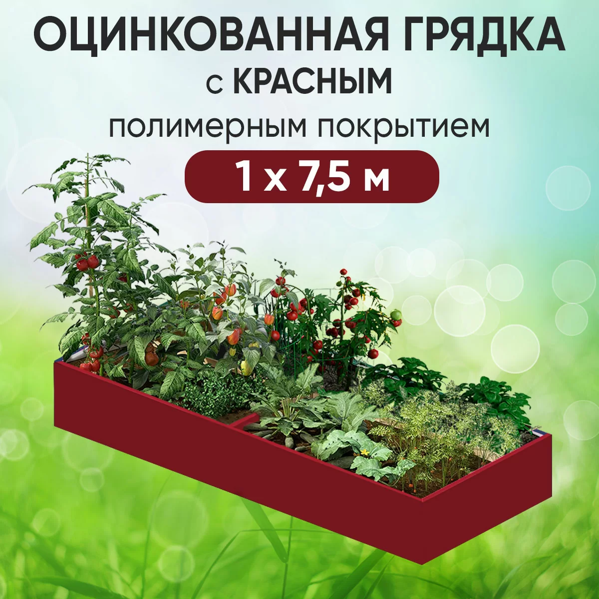Грядка красная (1 х 7,5)