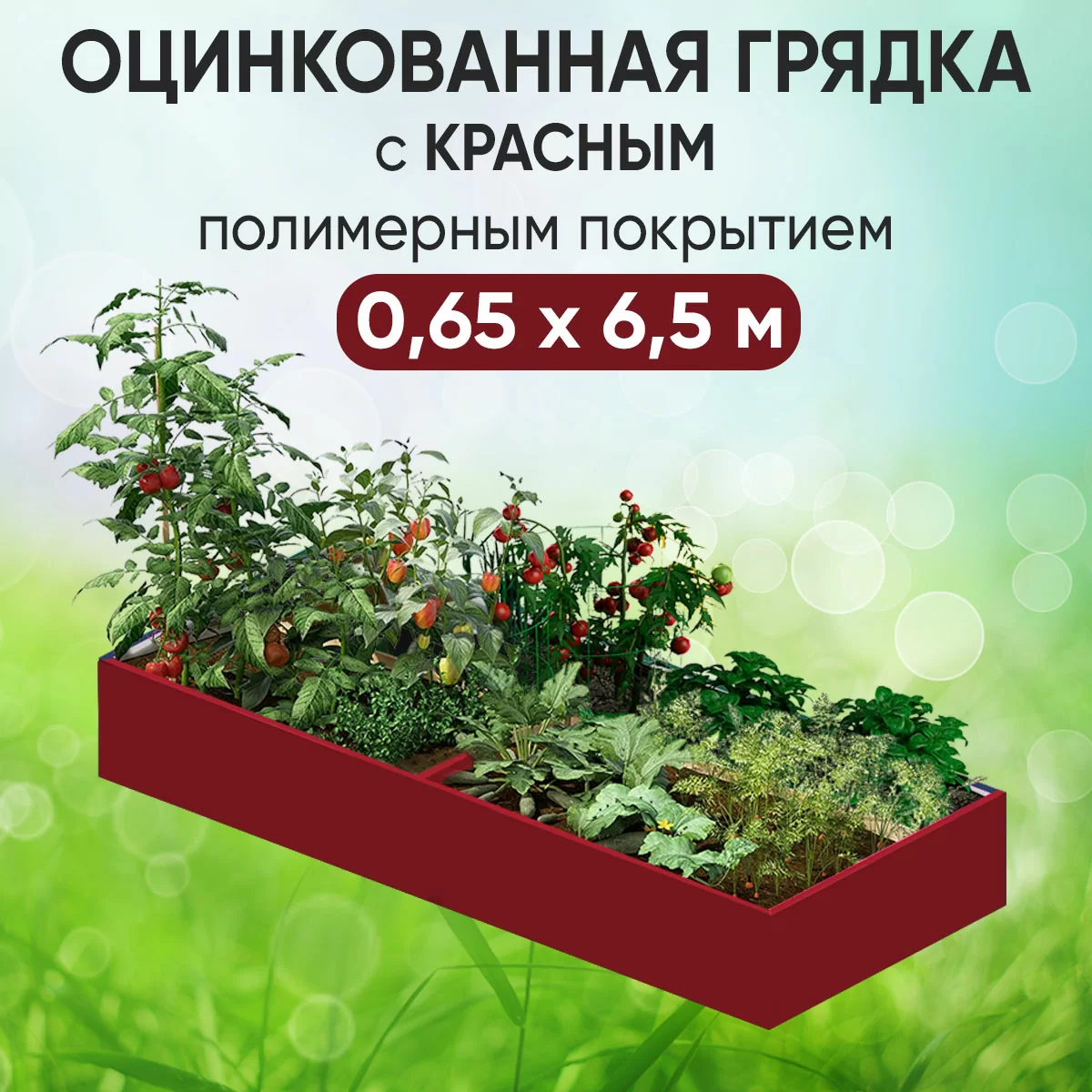 Грядка красная (0,65 х 6,5)